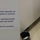 Image for article titled Staying In Sochi Is A Hilarious Adventure